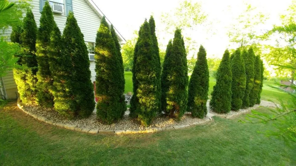Custom landscape installation in Woodland, PA - RMC Landscaping