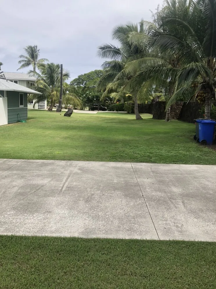 Custom lawn care service in Honolulu, HI by RMC Yard Maintenance