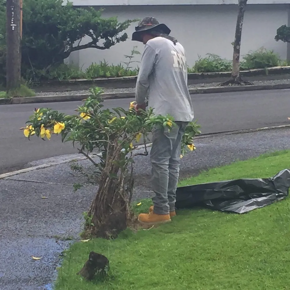 Custom lawn care service in Honolulu, HI by RMC Yard Maintenance