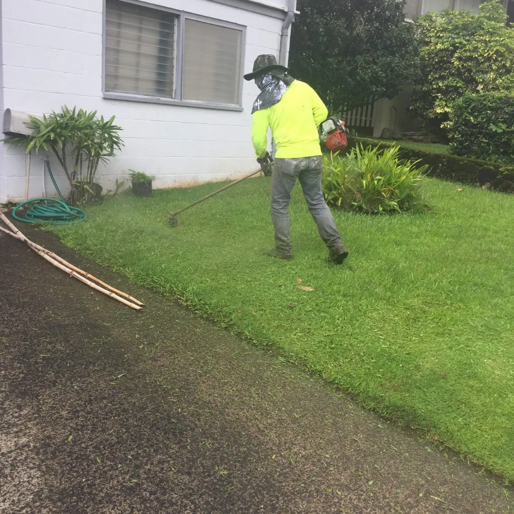 Trusted yard cleanup service in Honolulu, HI by RMC Yard Maintenance