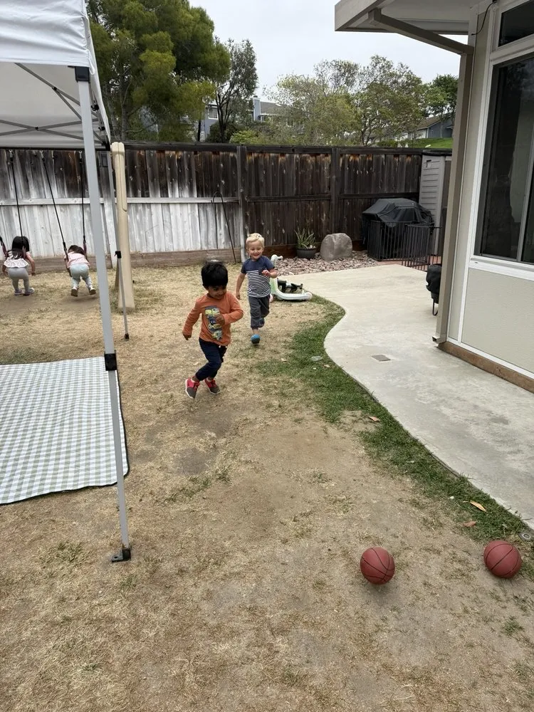 Top-rated landscaping services experts serving Vista, CA - RMG Hardscaping