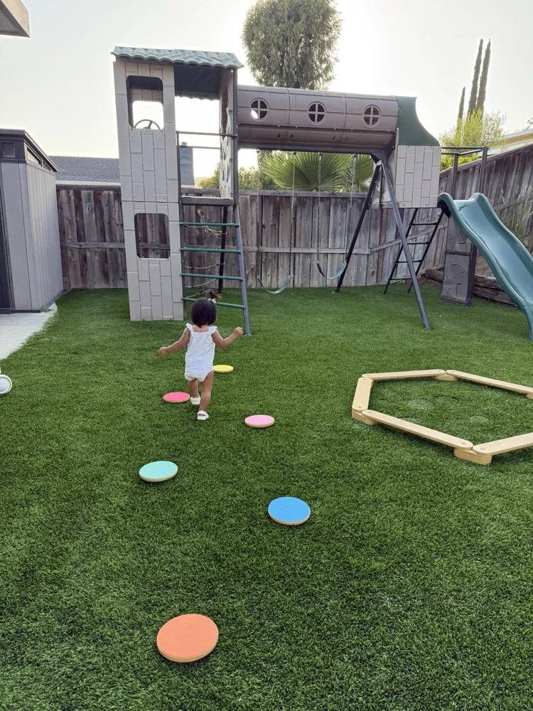 Local yard cleanup service experts serving Vista, CA - RMG Hardscaping