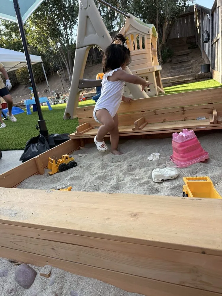 Trusted yard cleanup service in Vista, CA - RMG Hardscaping