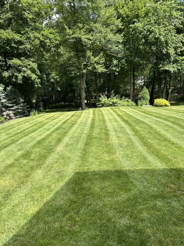 Affordable yard cleanup service near you across Ramsey, NJ - Rmh & Son Landscaping