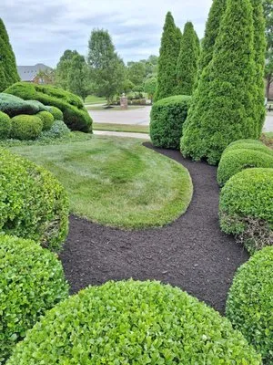 RMJ Lawn Care
