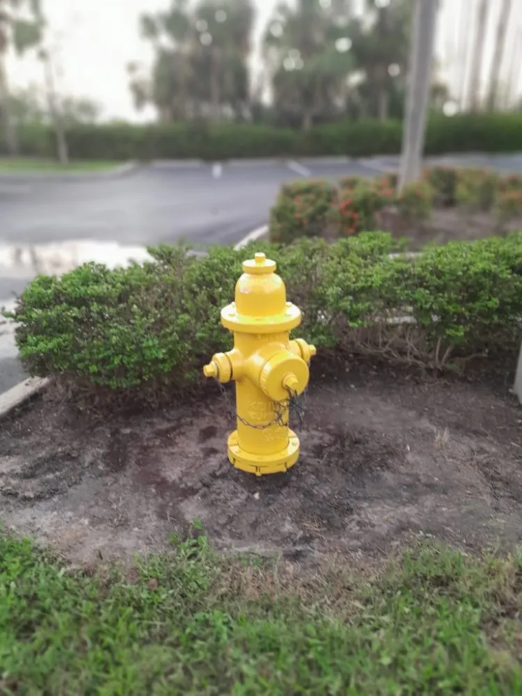 Reliable landscape installation in Alva, FL - RMJ Pressure Washing And Lawn Care Services