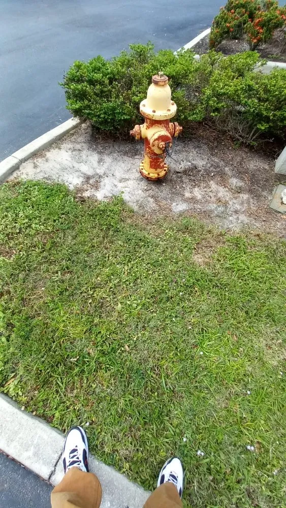 Professional residential landscaping in Alva, FL by RMJ Pressure Washing And Lawn Care Services