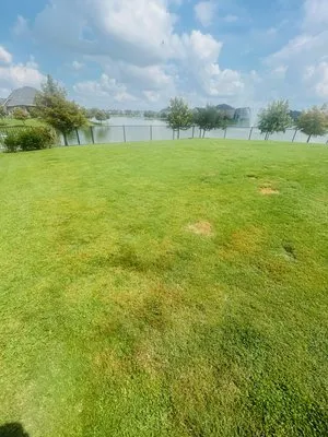 Rmorales Lawn Services Logo