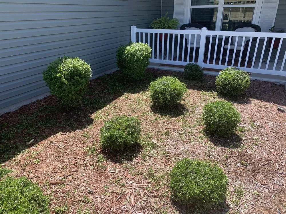 Trusted garden landscaping in Lady Lake, FL by RMR Landscaping