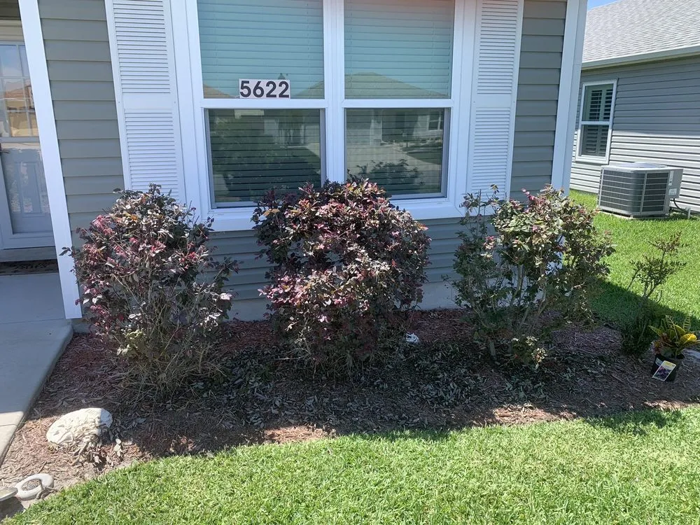 Custom landscape installation in Lady Lake, FL by RMR Landscaping