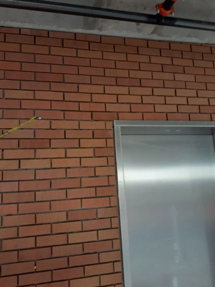 Expert yard maintenance near you in Tucson, AZ by R&M's Home Repair and Improvement