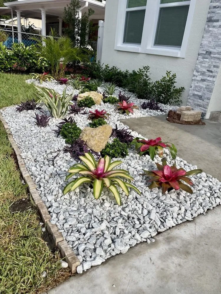 Top-rated yard cleanup service near you across Saint Petersburg, FL - RMS Landscapes