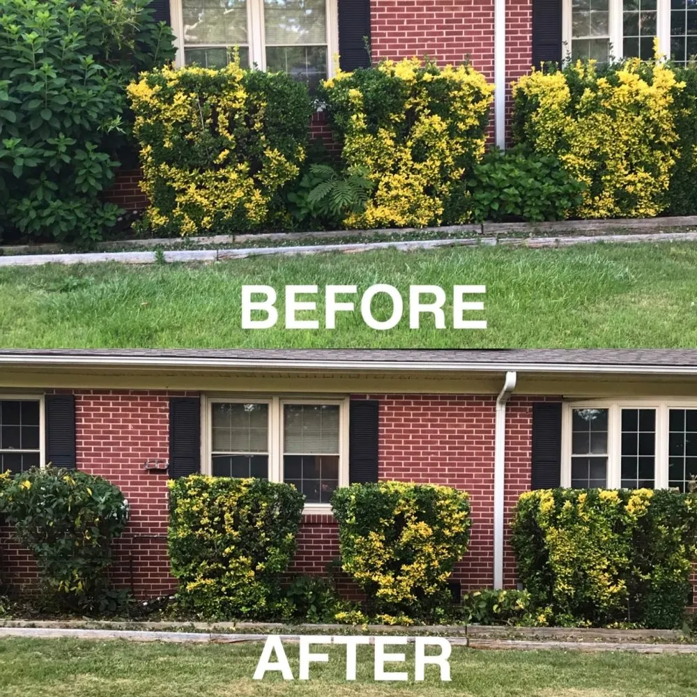 Custom lawn mowing service for residential properties in Belton, SC by RMS Lawn and Landscaping