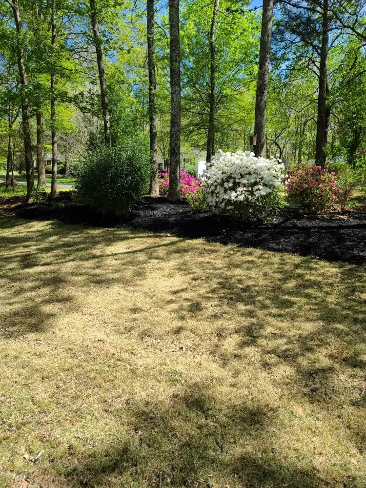 Top-rated lawn mowing service in Belton, SC by RMS Lawn and Landscaping