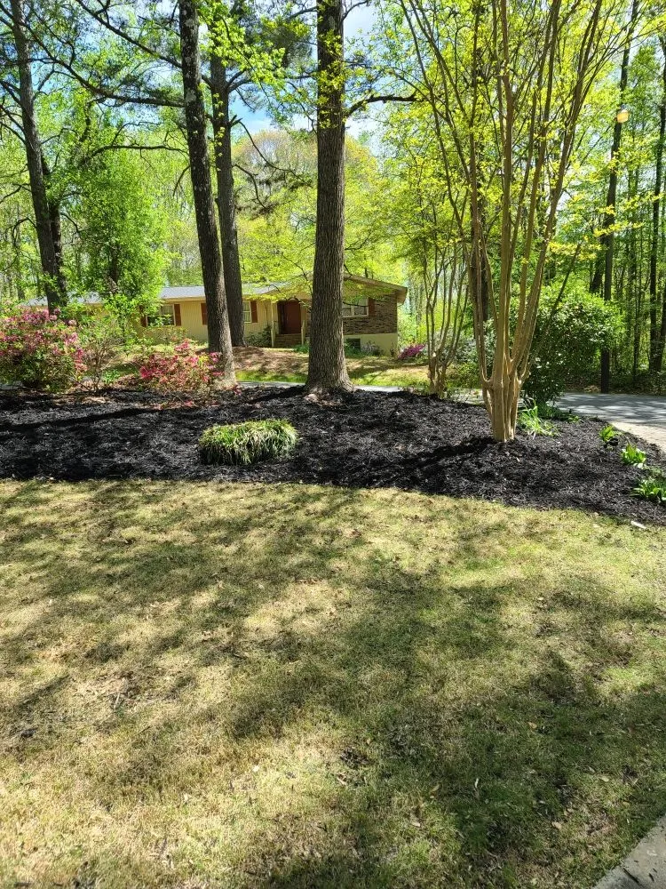 Local residential landscaping for outdoor upgrades in Belton, SC by RMS Lawn and Landscaping