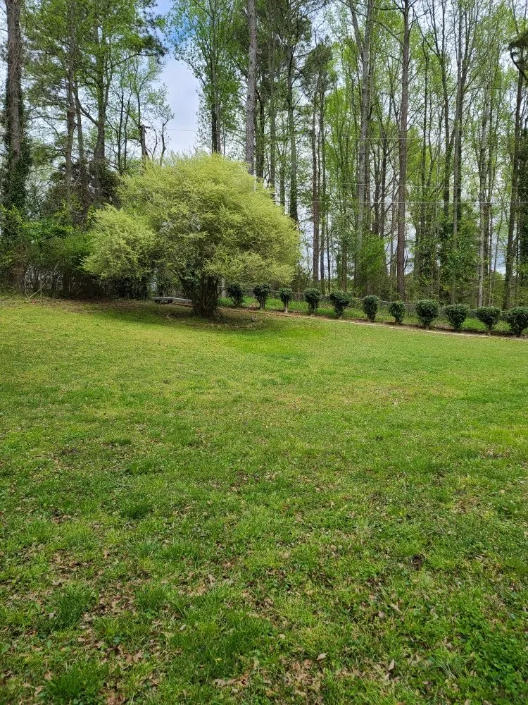 Professional yard maintenance near you across Belton, SC - RMS Lawn and Landscaping