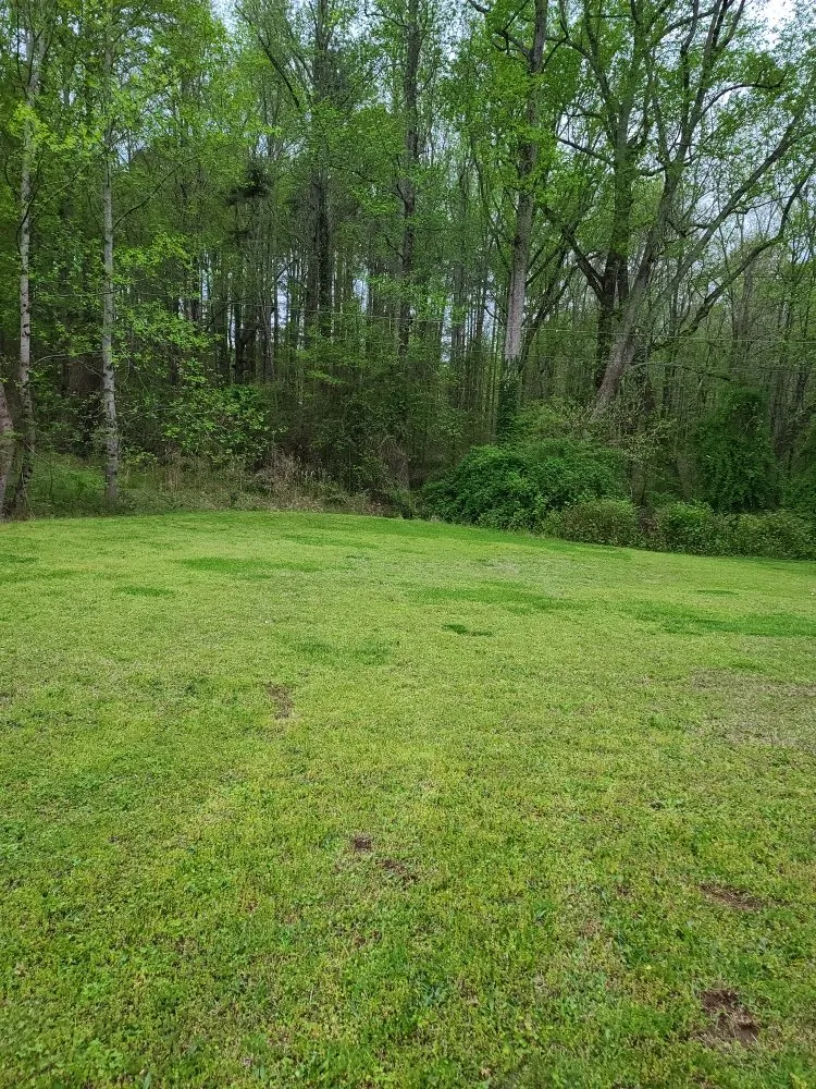 Reliable lawn mowing service experts serving Belton, SC - RMS Lawn and Landscaping