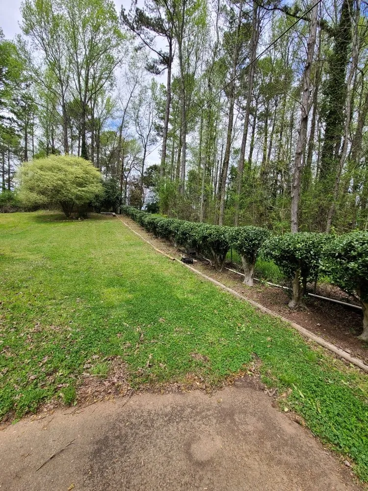 Professional garden landscaping for outdoor upgrades across Belton, SC - RMS Lawn and Landscaping