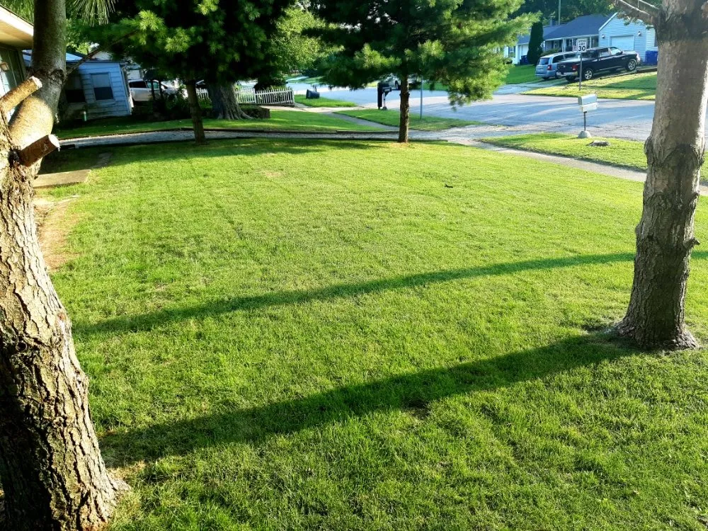 Affordable yard maintenance experts serving Kokomo, IN - R&Ms Mowing