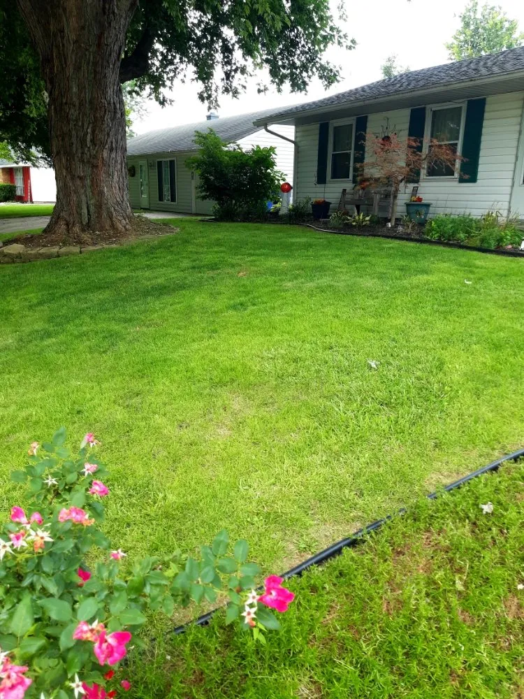Reliable yard maintenance in Kokomo, IN - R&Ms Mowing