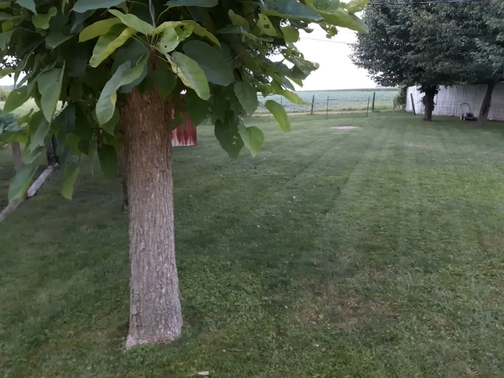 Affordable garden landscaping with custom design in Kokomo, IN by R&Ms Mowing