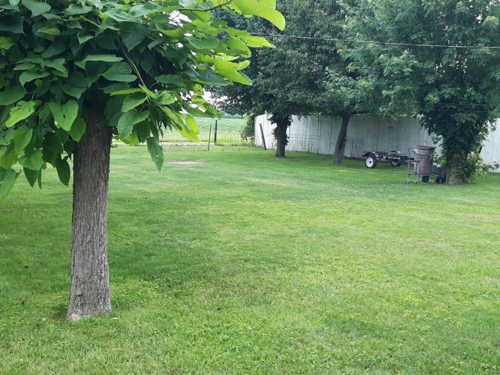 Trusted yard maintenance in Kokomo, IN - R&Ms Mowing