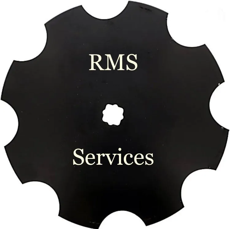 Custom yard cleanup service for year-round maintenance across Liberty, SC - RMS Services