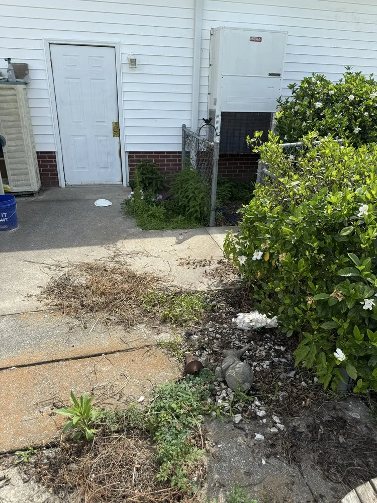 Trusted residential landscaping experts serving Robersonville, NC - RMT Lawncare