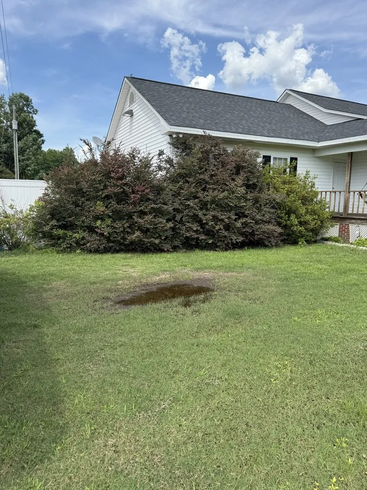 Top-rated outdoor landscaping for year-round maintenance in Robersonville, NC by RMT Lawncare