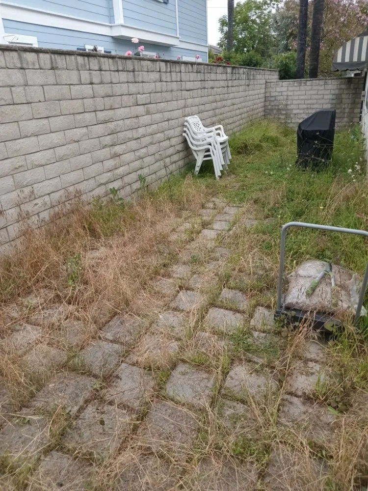 Professional outdoor landscaping in Riverside, CA - RMW Property Pros