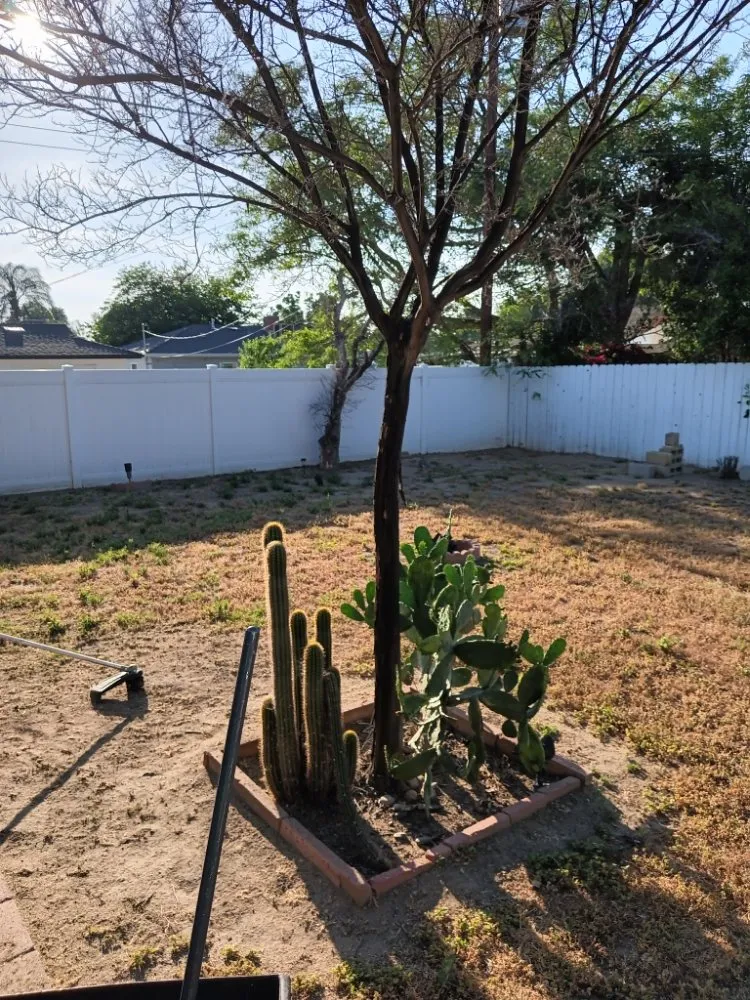 Trusted landscape installation experts serving Riverside, CA - RMW Property Pros