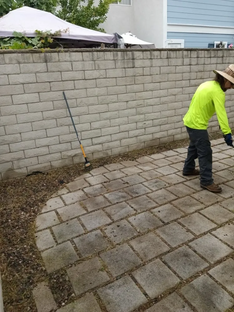 Affordable residential landscaping experts serving Riverside, CA - RMW Property Pros