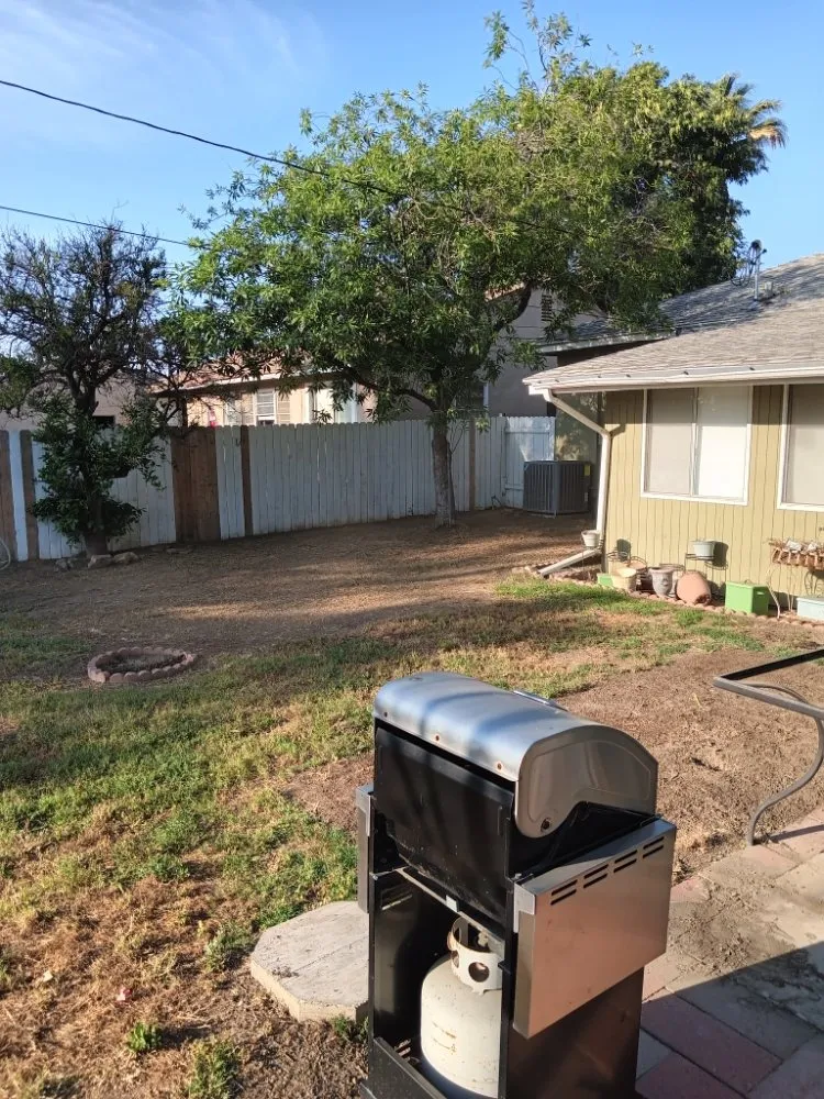 Top-rated landscape design in Riverside, CA - RMW Property Pros