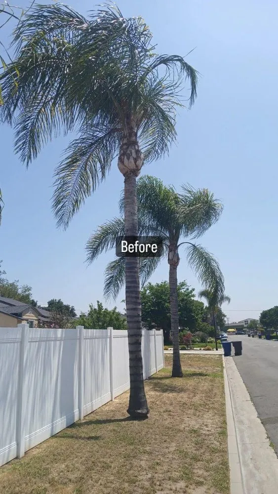 Custom lawn mowing service for homes in Riverside, CA by RMW Property Pros