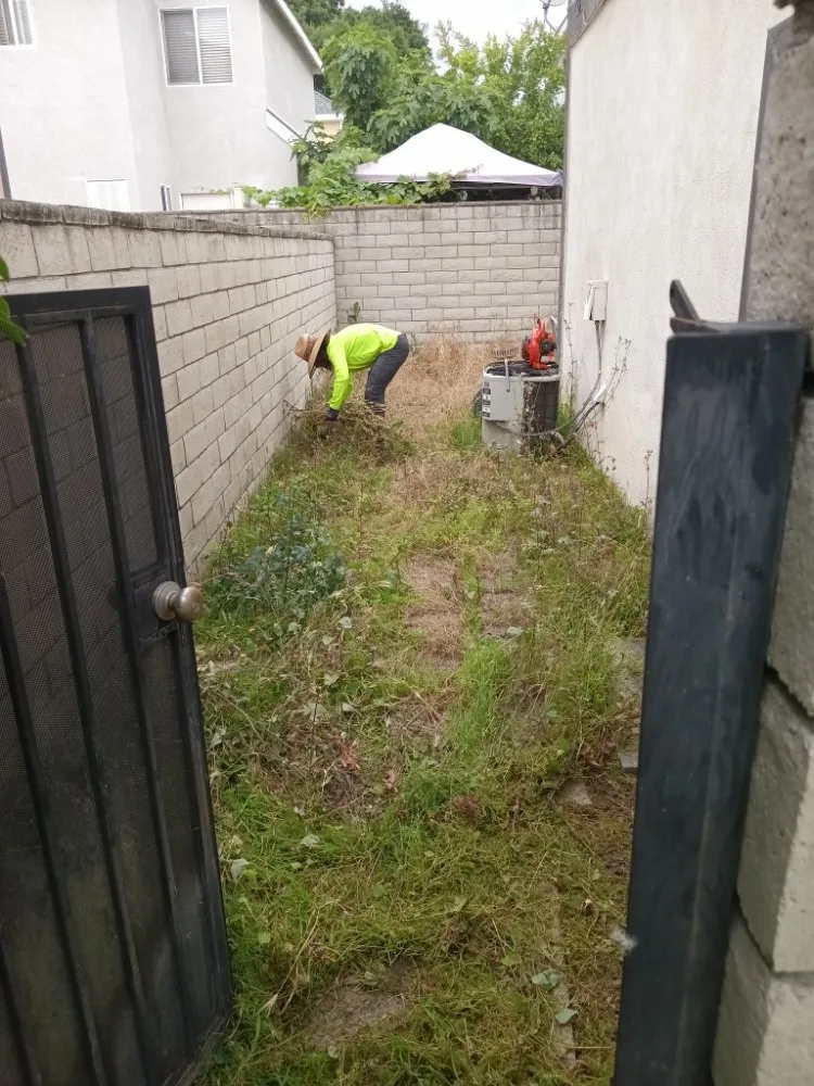 Custom yard maintenance experts serving Riverside, CA - RMW Property Pros