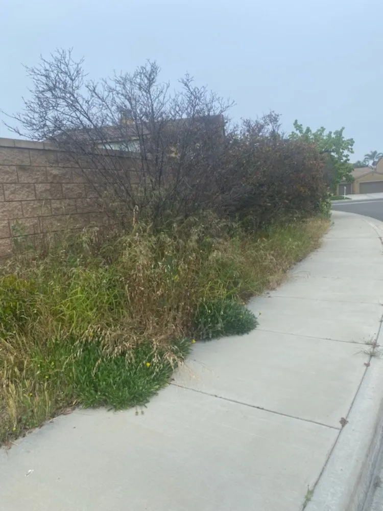 Local outdoor landscaping for outdoor upgrades across Riverside, CA - RMW Property Pros