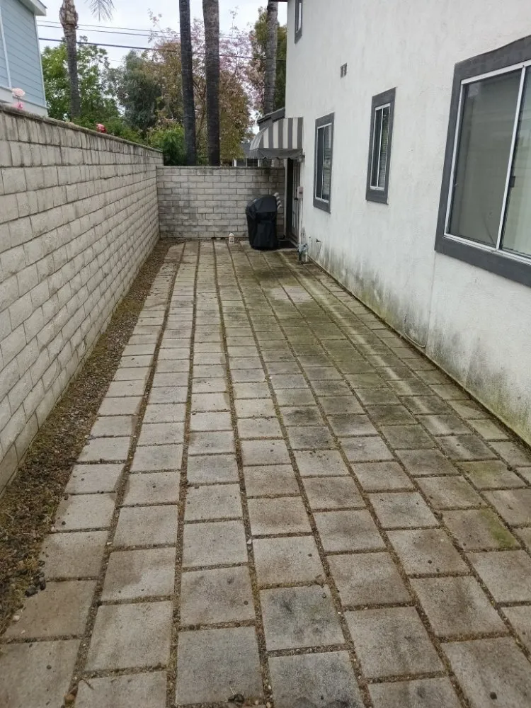 Top-rated landscaping services in Riverside, CA - RMW Property Pros