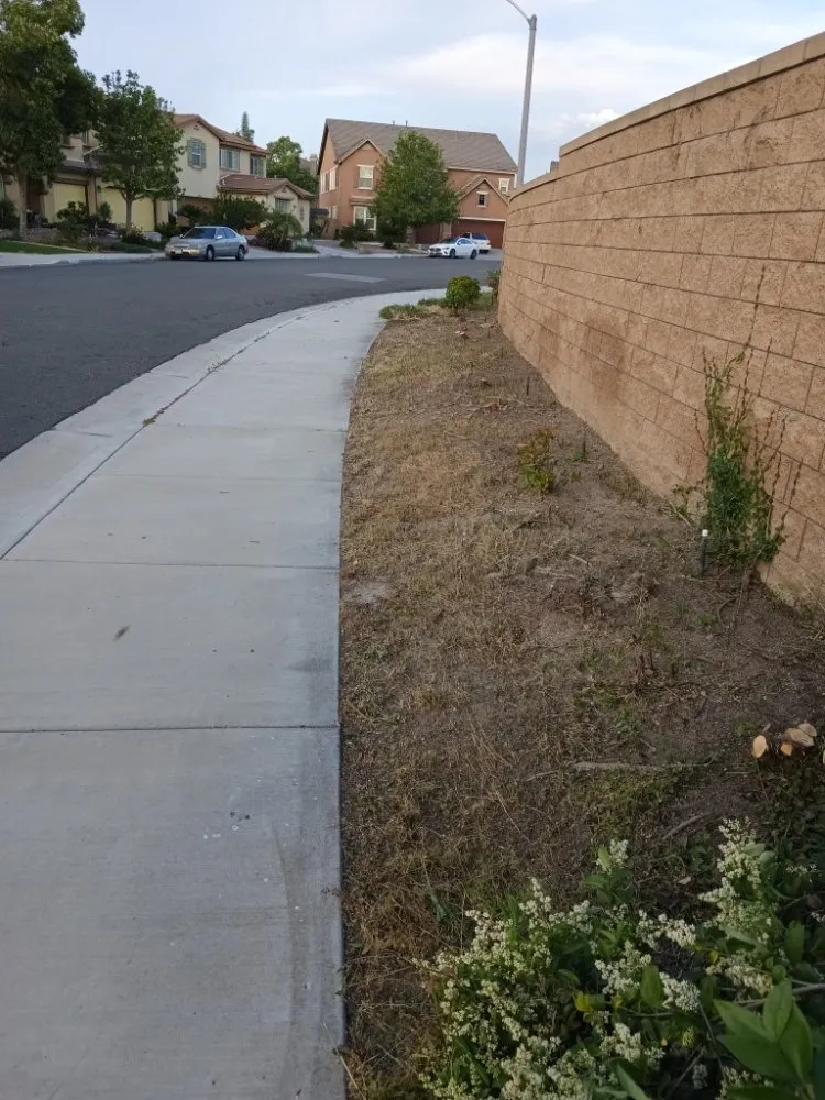 Trusted lawn mowing service experts serving Riverside, CA - RMW Property Pros