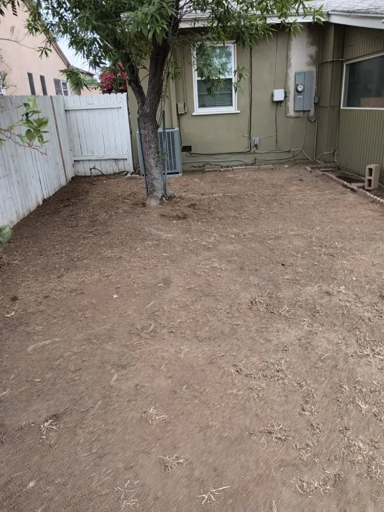 Professional outdoor landscaping in Riverside, CA - RMW Property Pros