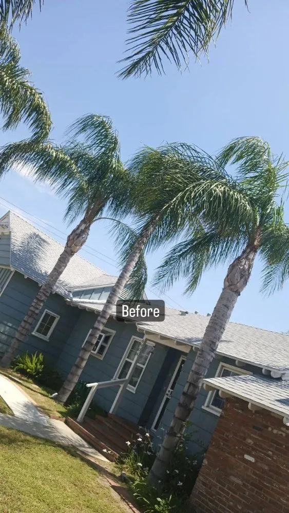 Top-rated residential landscaping for residential properties in Riverside, CA by RMW Property Pros