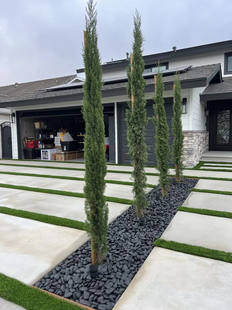 Custom yard cleanup service in Gardena, CA - Rmz Landscape