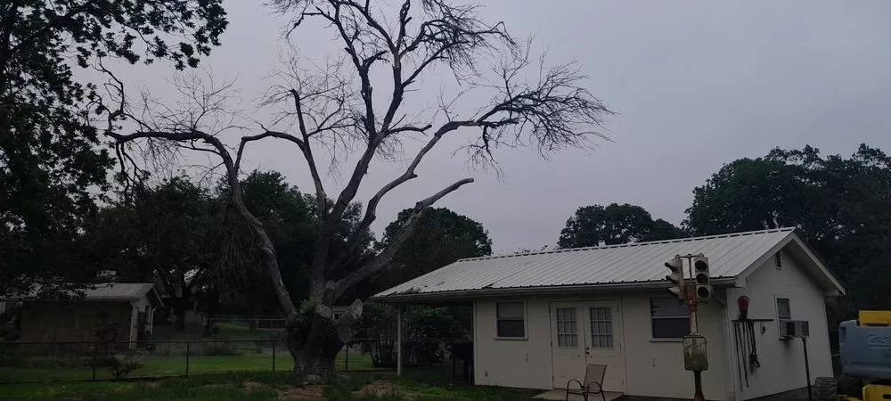 Affordable landscape design experts serving Fredericksburg, TX - RMZ Lawn & Tree Service