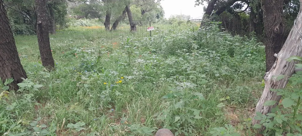 Local yard cleanup service experts serving Fredericksburg, TX - RMZ Lawn & Tree Service