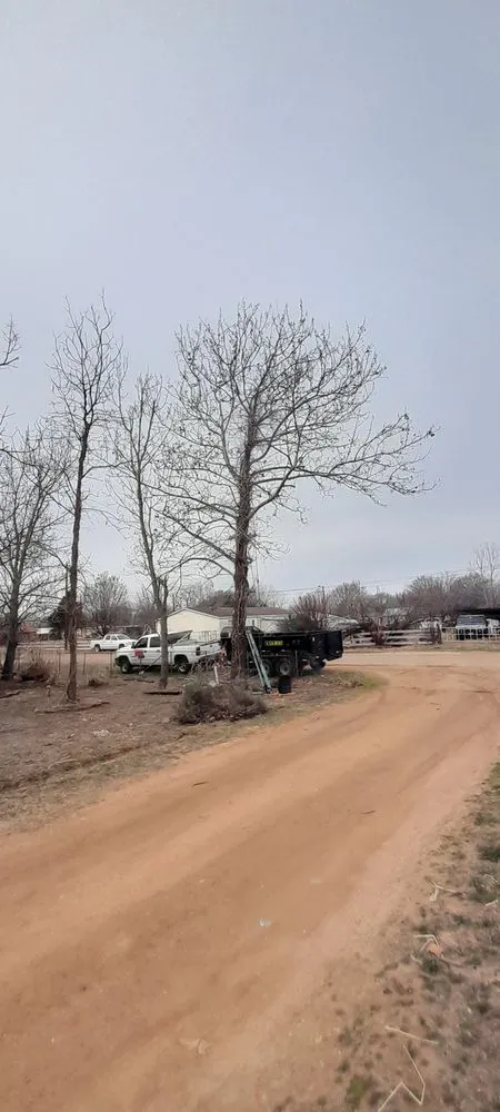 Affordable yard cleanup service in Fredericksburg, TX - RMZ Lawn & Tree Service