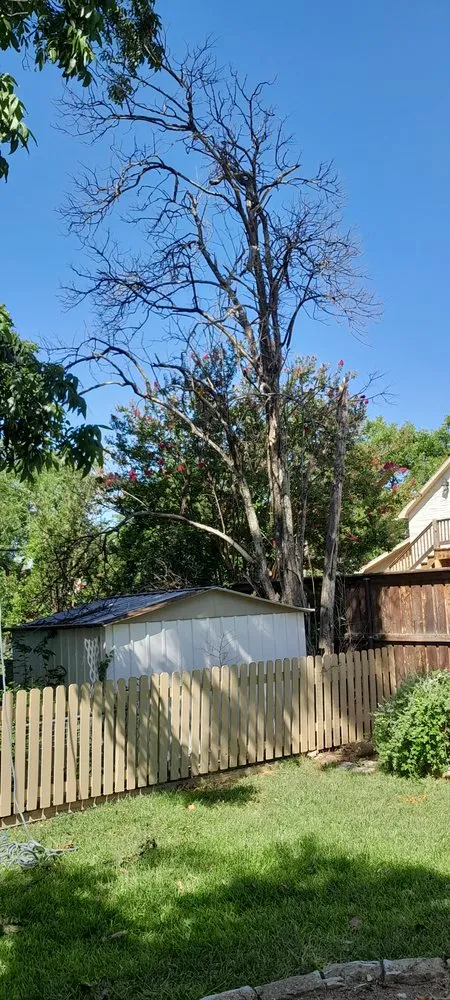 Custom garden landscaping in Fredericksburg, TX - RMZ Lawn & Tree Service