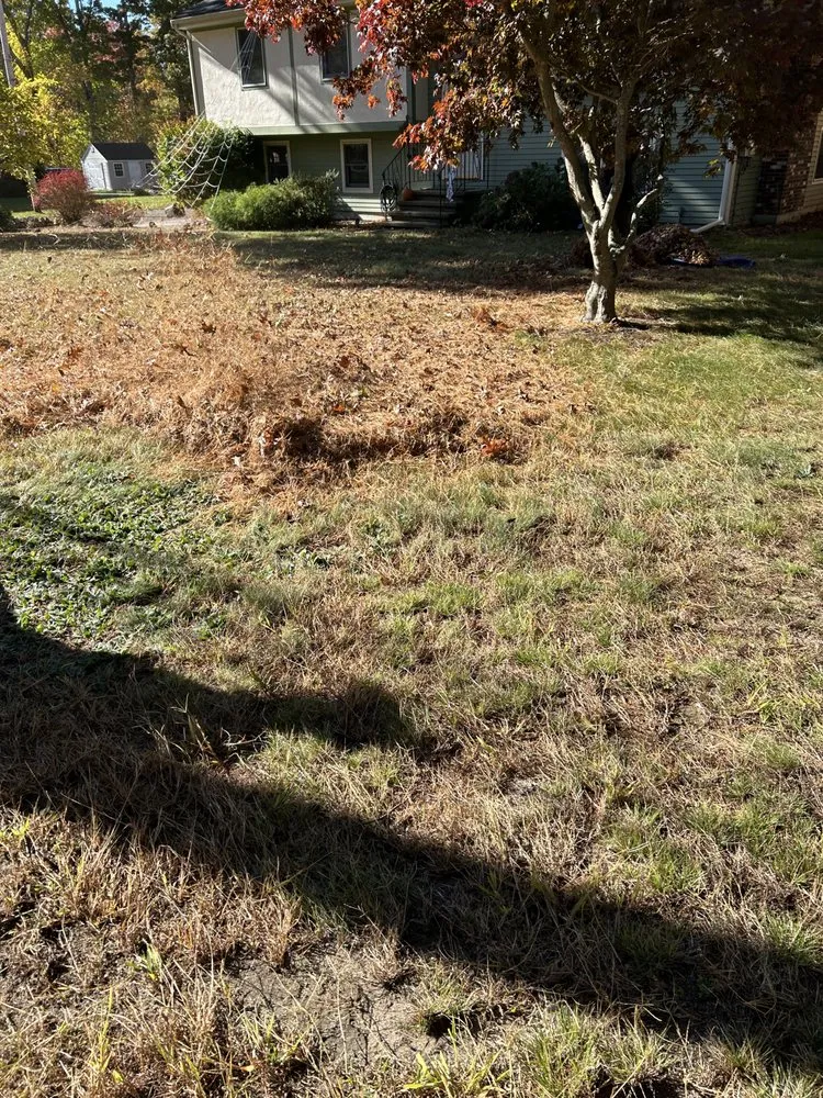 Affordable yard cleanup service in Lynn, MA by Rn & Sons Landscaping & Construction