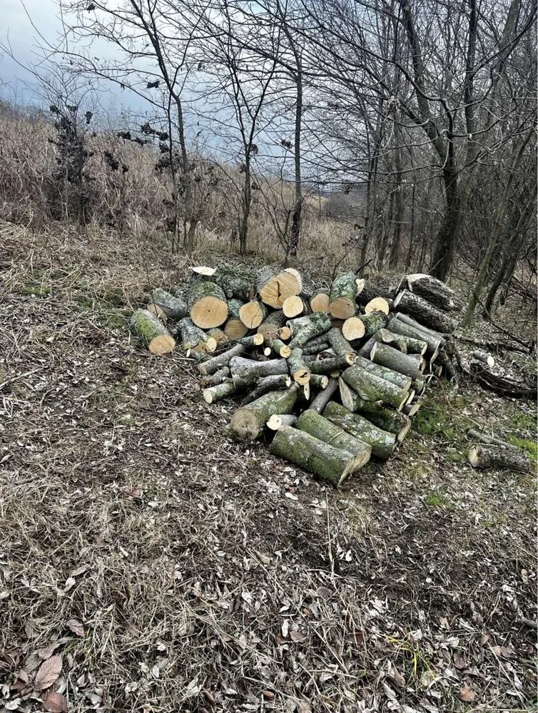 Expert garden landscaping experts serving Broken Arrow, OK - R&N Excavation