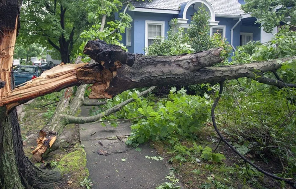 Top-rated lawn mowing service in Broken Arrow, OK by R&N Excavation