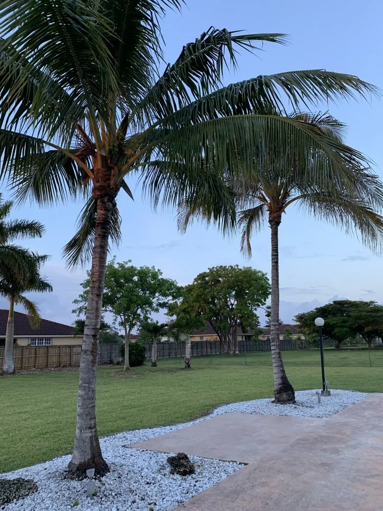 Top-rated landscape installation in Homestead, FL by RN Hydrofarms Corp