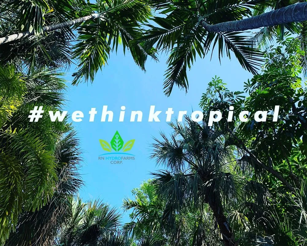 Reliable yard cleanup service in Homestead, FL - RN Hydrofarms Corp